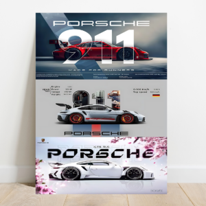 Porsche 911 gt3 (3)